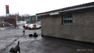 Автомойка, діючий бізнес, Гігант, Салтівка.