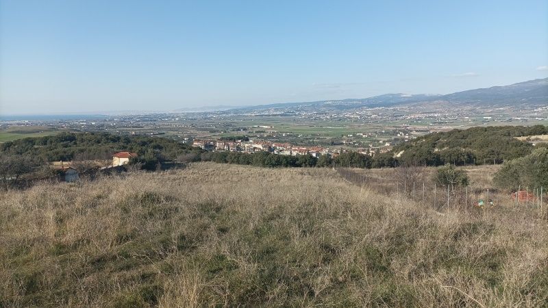 6000 m² Parcel