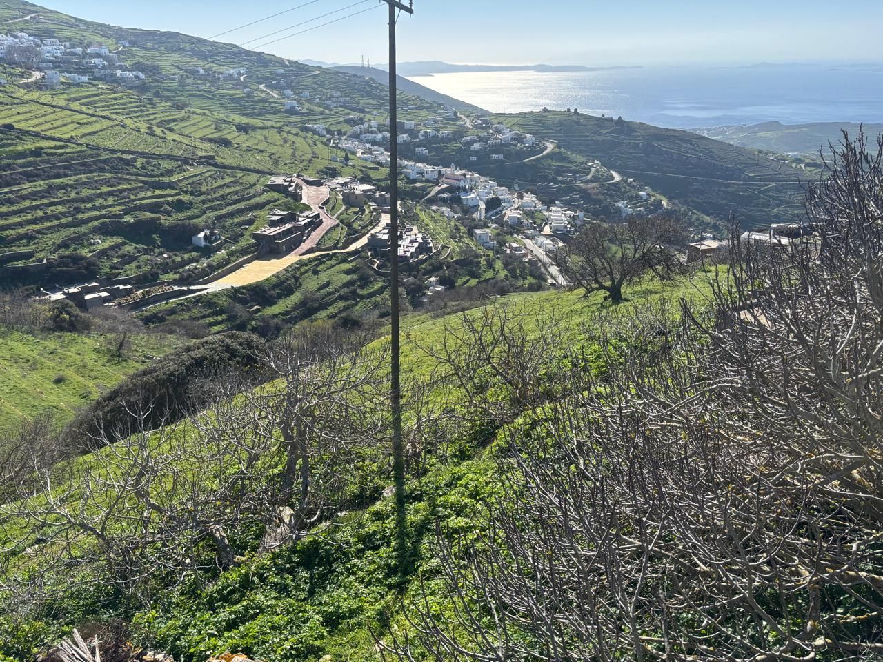 Οικόπεδο 3225 τ.μ.