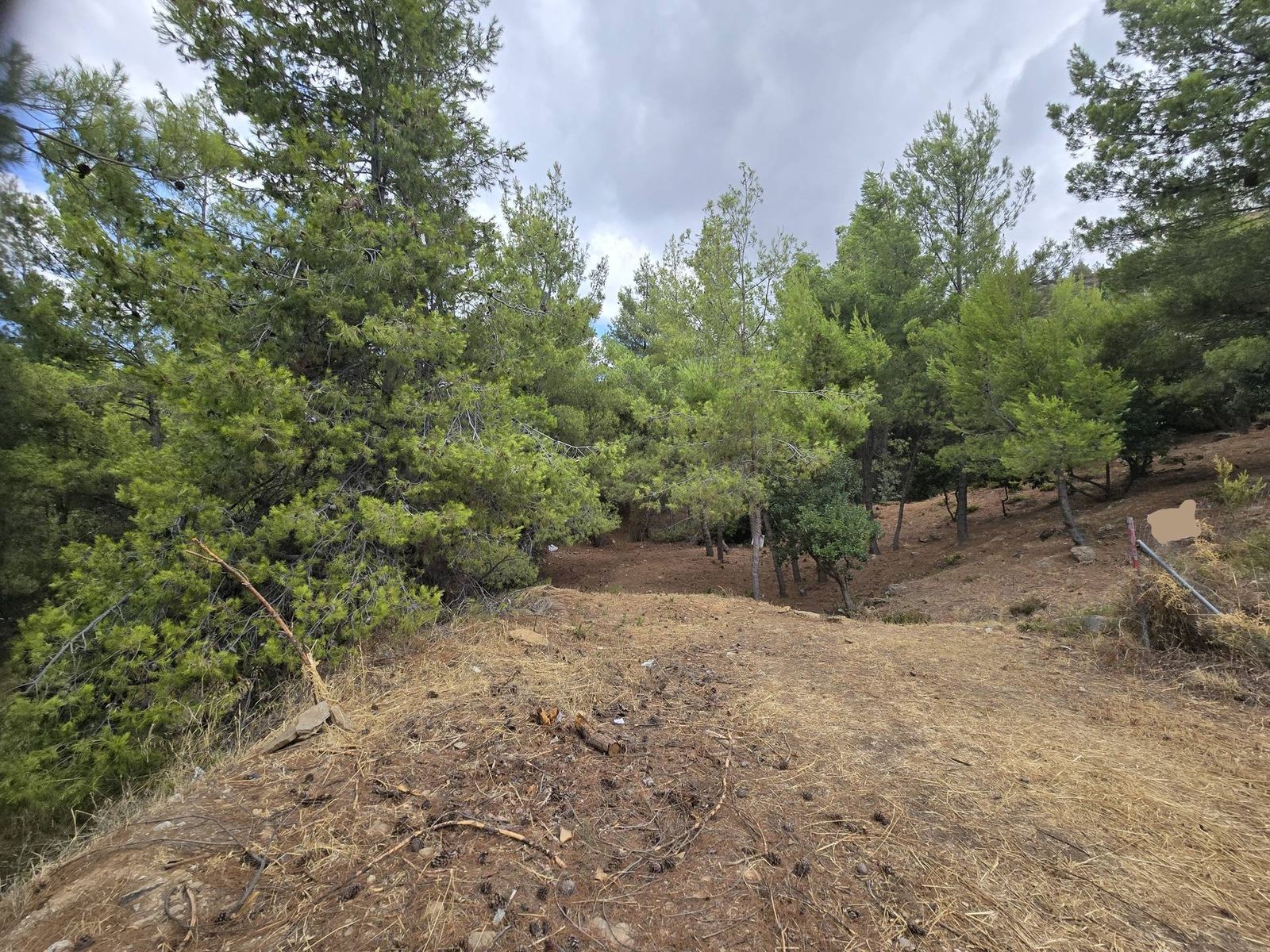 800 m² Plot