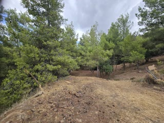 800 m² Plot