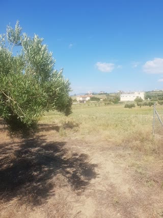 Участок 36000 м²