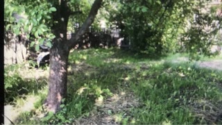 Продам участок в Києві