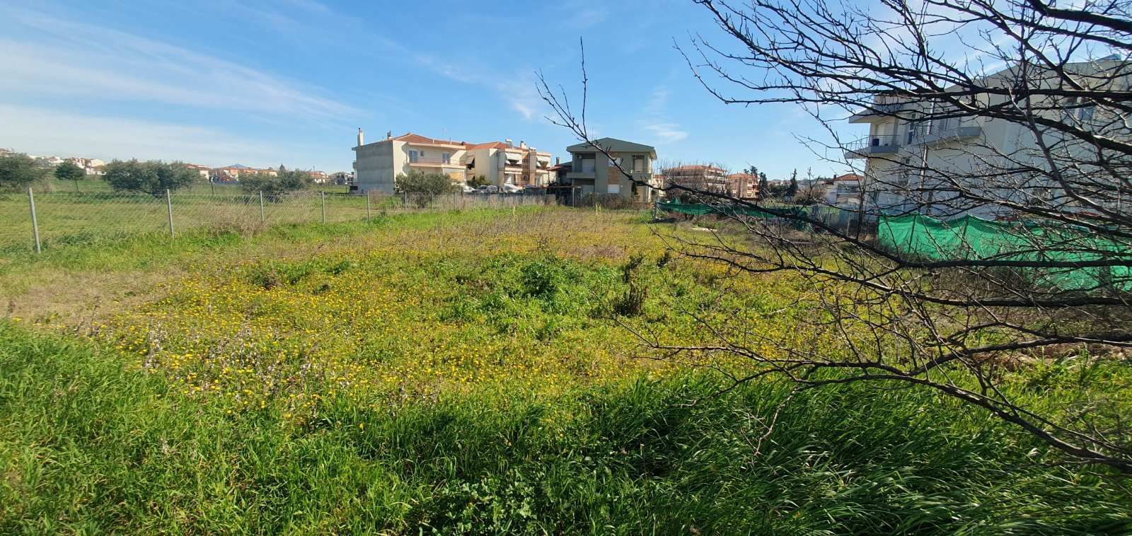 773 m² Plot