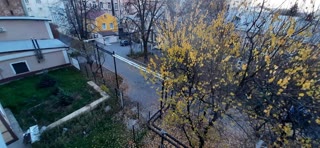 Сдам свою 1к.кв. студію. м.Центральний ринок