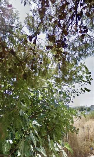 912 m² Plot