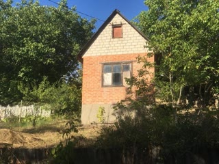Dacha Plot