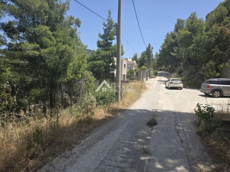 Οικόπεδο 1600 τ.μ.