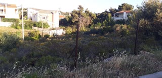 1110 m² Plot