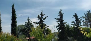 2400 m² Plot