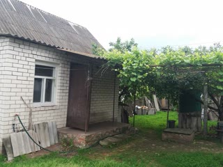 великий будинок з городом