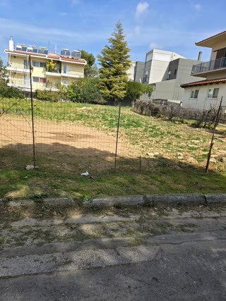 580 m² Plot