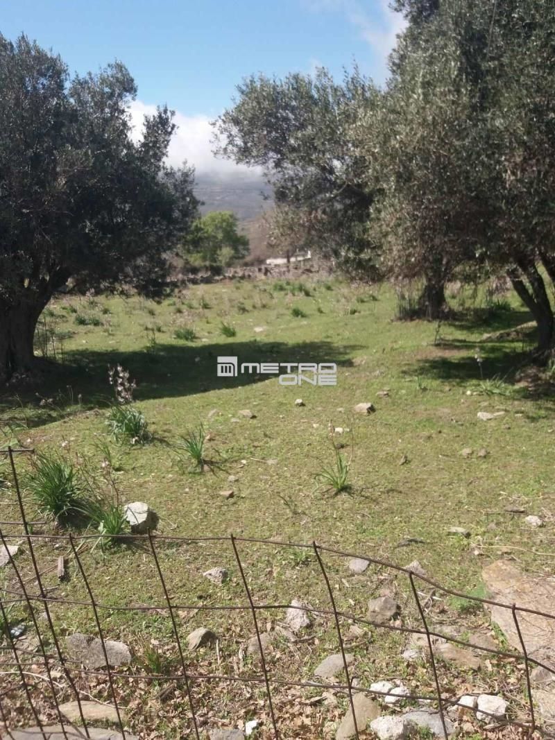 Αγροτεμάχιο 6932 τ.μ.