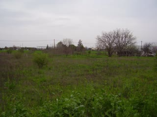 15800 m² Parcel