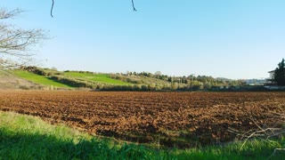 5000 m² Parcel