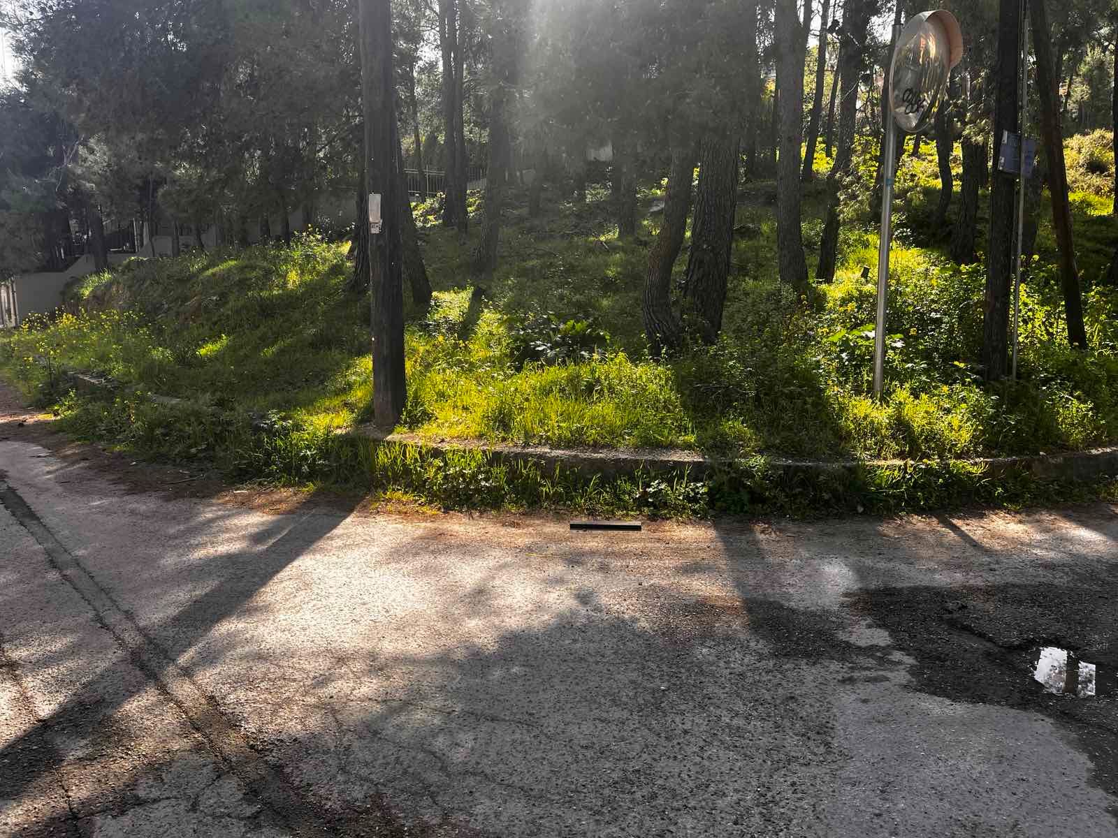 Οικόπεδο 800τ.μ.
