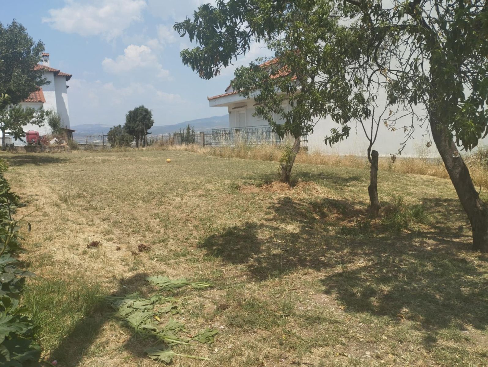 380 m² Plot