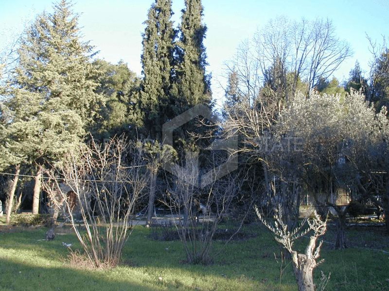 Οικόπεδο 10600τ.μ.