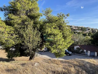 500 m² Plot