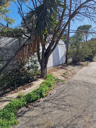 1200 m² Plot