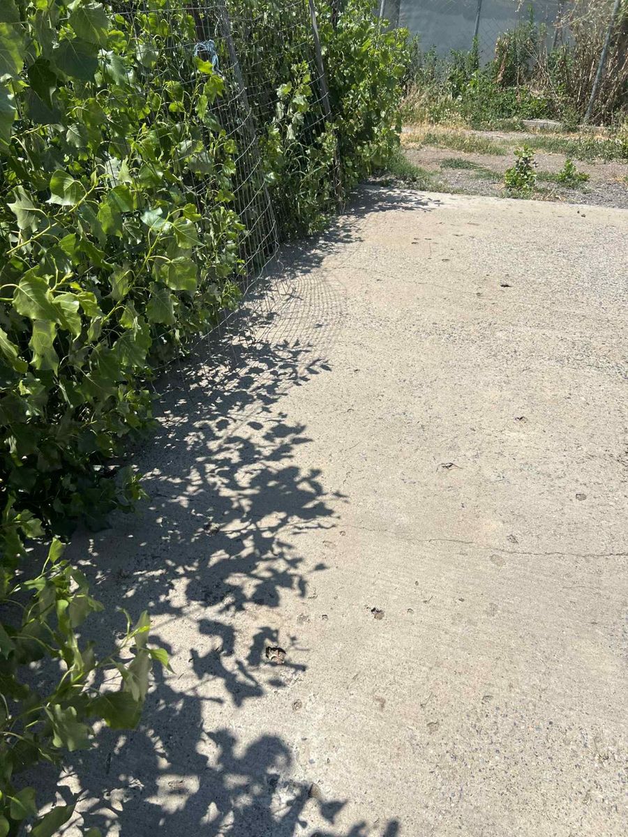 Parcel of 650 m²