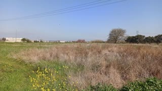 13688 m² Parcel