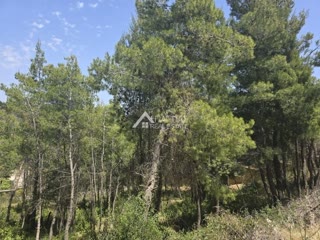 1600 m² Plot