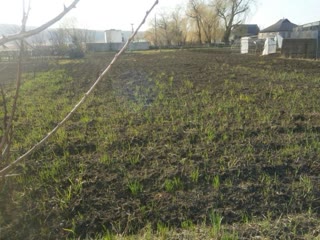 Срочно продам будинок в Куп'янськузловій або поміняю на квартиру