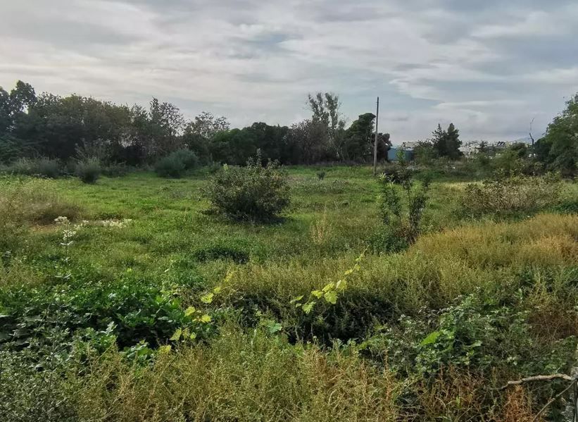 5100 m² Plot