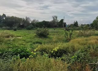 5100 m² Plot