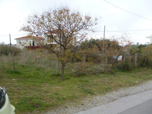 Участок 758 м²