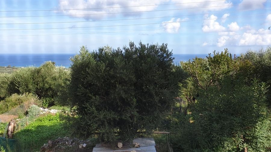 Μονοκατοικία 110τ.μ.