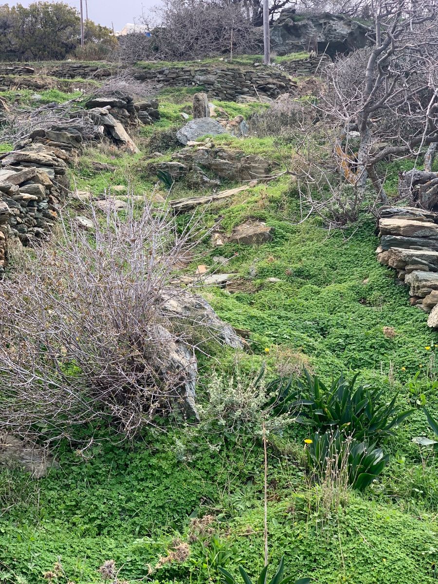 4020 m² Plot