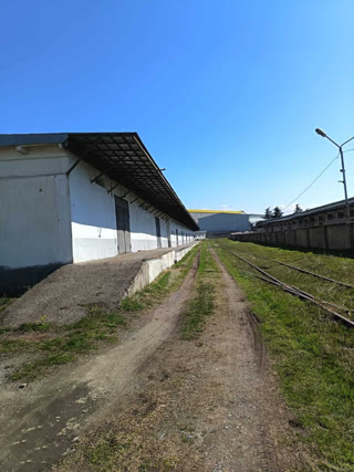 ქირავდება სასაწყობე/საწარმოო ფართი ისთფოინთთან