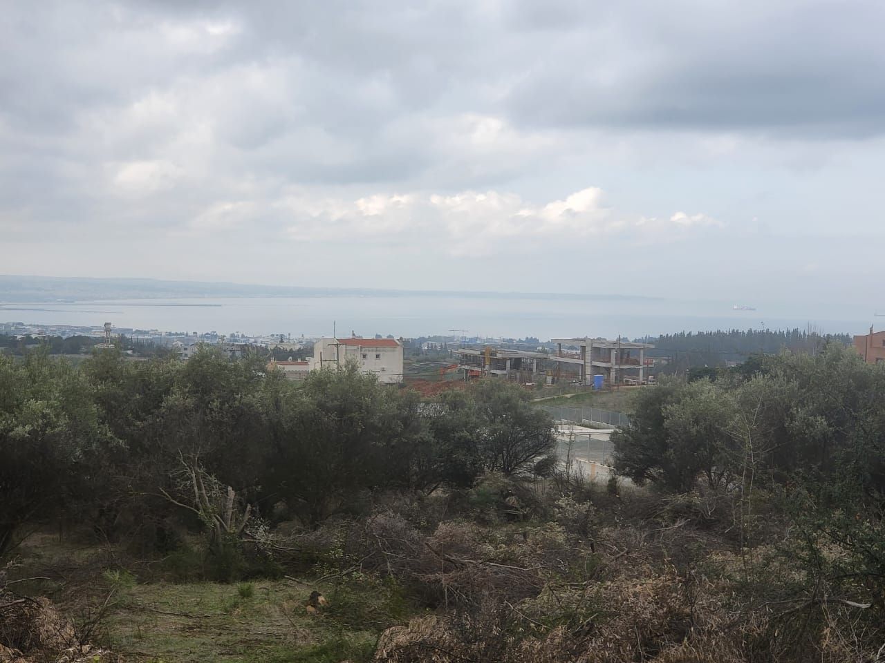 Участок 2700 м²