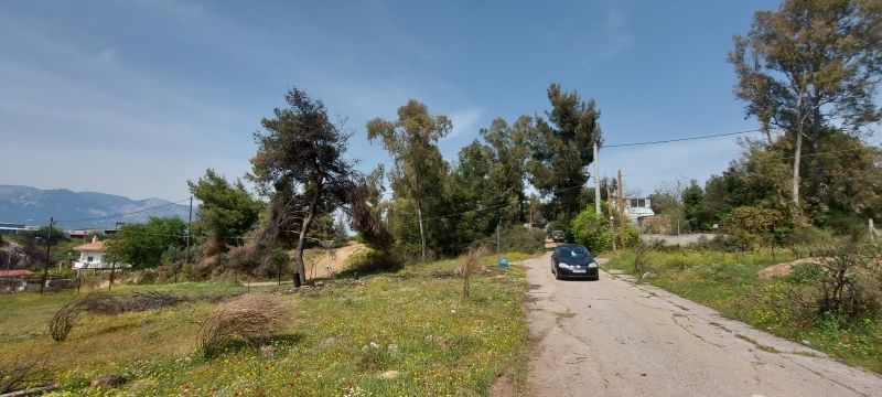 Οικόπεδο 283 τ.μ.