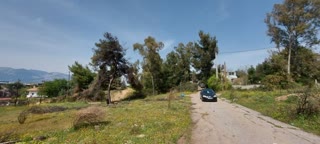 283 m² Plot