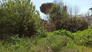 490 m² Plot