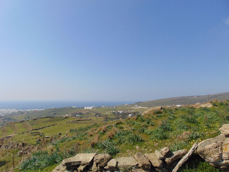 6300 m² Parcel