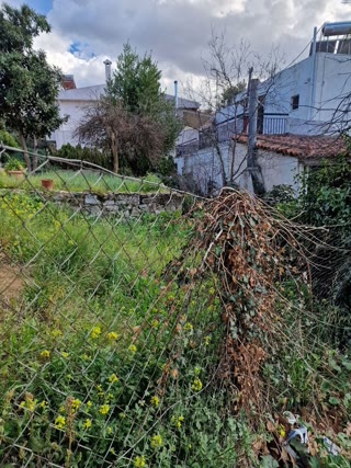 388 m² Plot