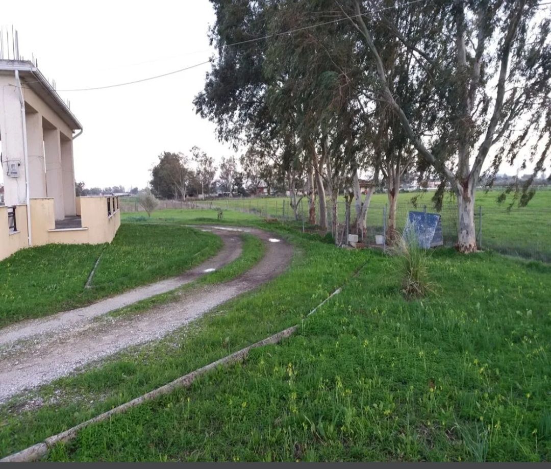 240 m² Detached House