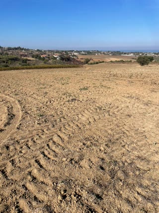 7000 m² Parcel