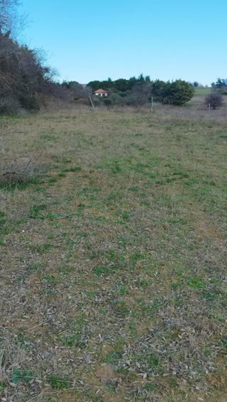 Parcel of 4900 m²
