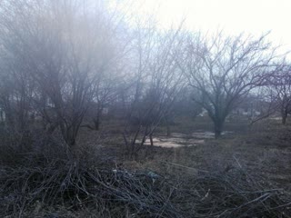 Dacha plot 12 acres, 14 km