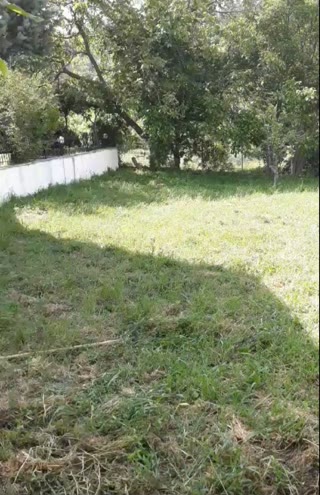 532 m² Plot