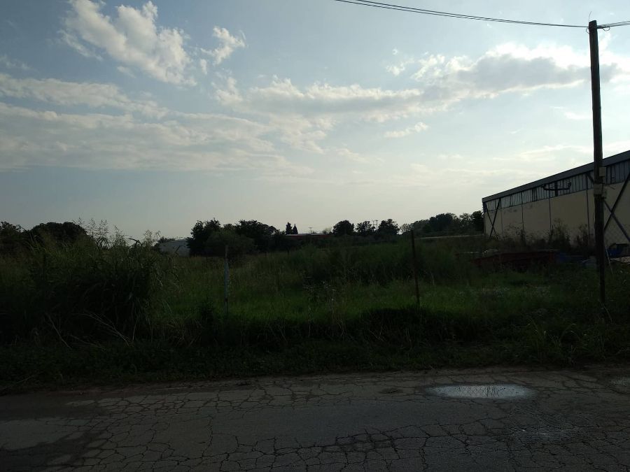 Участок, 12000 м²