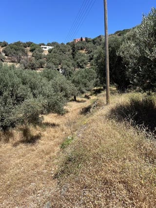 4290 m² Plot