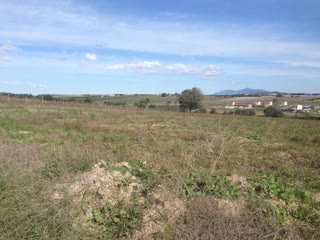 10700 m² Parcel