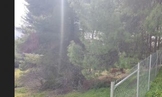1500 m² Plot