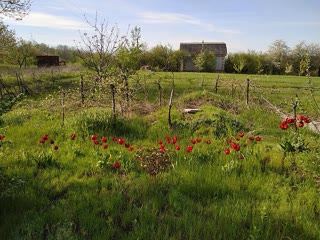 Plot (Dacha) Novye Derhachi
